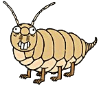 steinlaus
